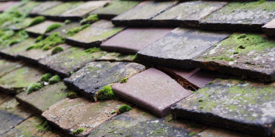 Ashampstead roof repair costs